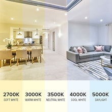 Load image into Gallery viewer, BAFFLE 6-Pack